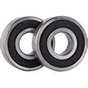 30 mm x 55 mm x 13 mm  FBJ N1006 cylindrical roller bearings
