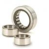 220 mm x 400 mm x 108 mm  KOYO NJ2244 cylindrical roller bearings #1 small image