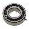 25 mm x 62 mm x 17 mm  Loyal NU305 E cylindrical roller bearings