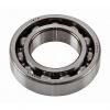 30 mm x 62 mm x 16 mm  Fersa NUP206FM cylindrical roller bearings