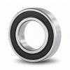 20 mm x 47 mm x 14 mm  SKF NJ 204 ECPHA cylindrical roller bearings #1 small image