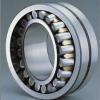 85 mm x 130 mm x 22 mm  SKF N 1017 KTN9/SP cylindrical roller bearings #1 small image